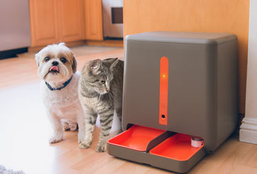 EasyFeed Automatic Pet Feeder with Amazon Integration