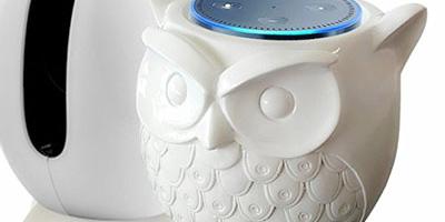 Owl Shaped Guard Station for Amazon Echo Dot