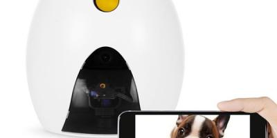 FunPaw Playbot Q Robot Camera & Pet Feeder